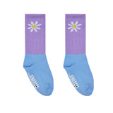 Superstar Socks - Daisy